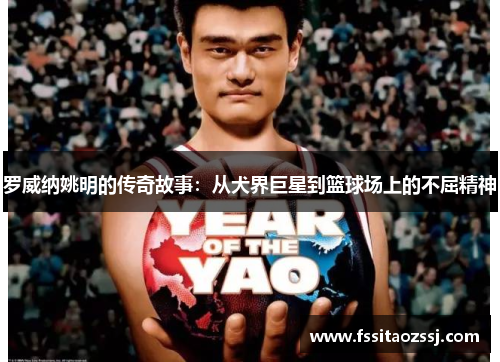 罗威纳姚明的传奇故事：从犬界巨星到篮球场上的不屈精神